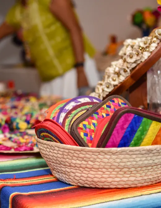Hotel Fontán Ixtapa Hotel Fontán Ixtapa