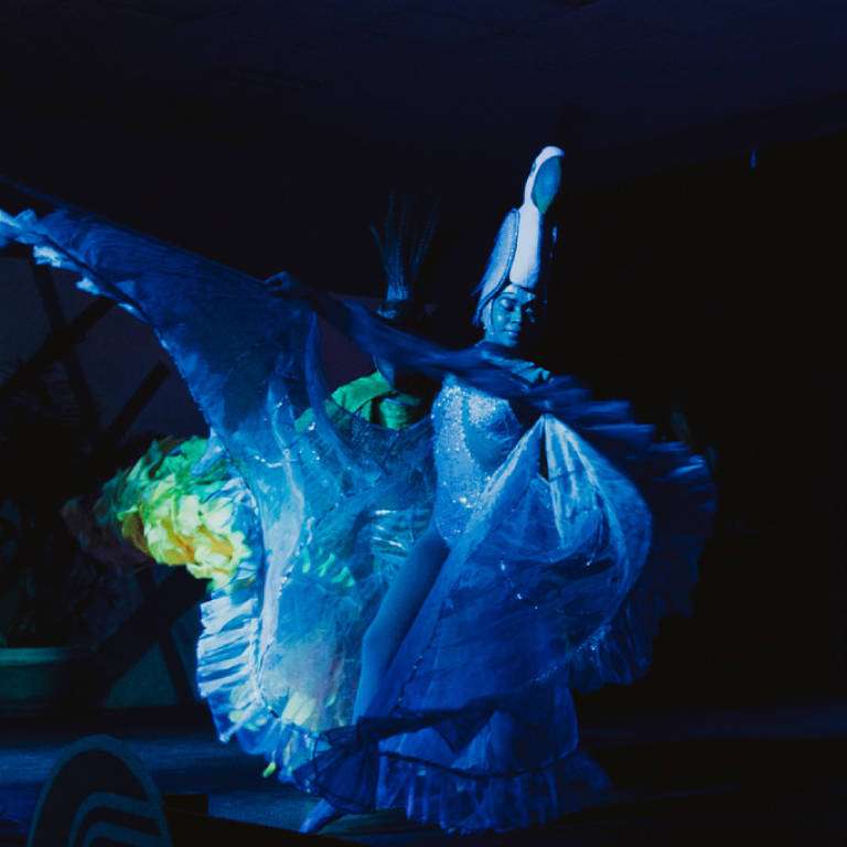 Night Shows